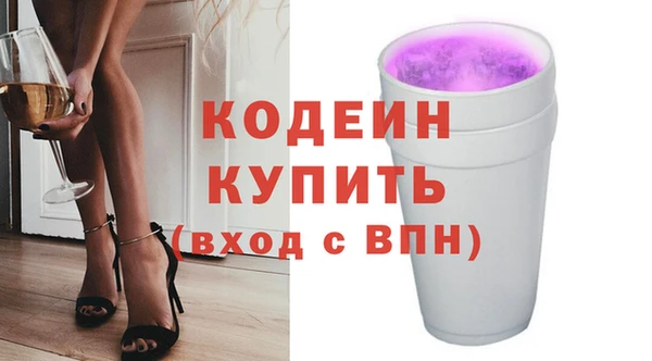 хмурый Бородино