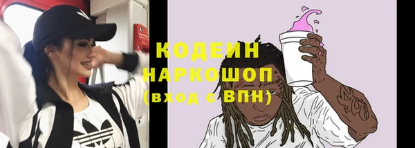 хмурый Бородино