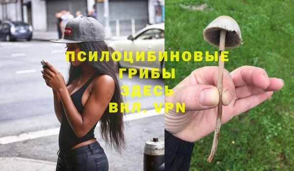хмурый Бородино