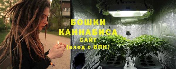 хмурый Бронницы
