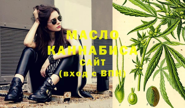 хмурый Бородино