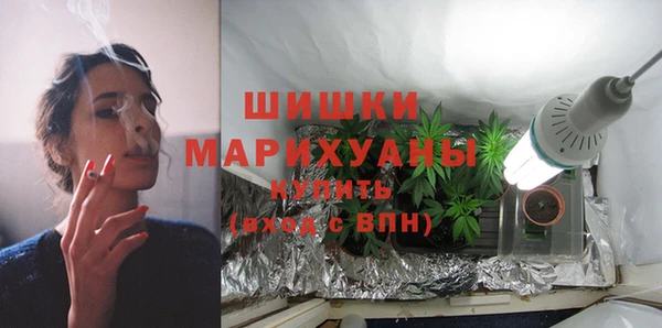 хмурый Бородино
