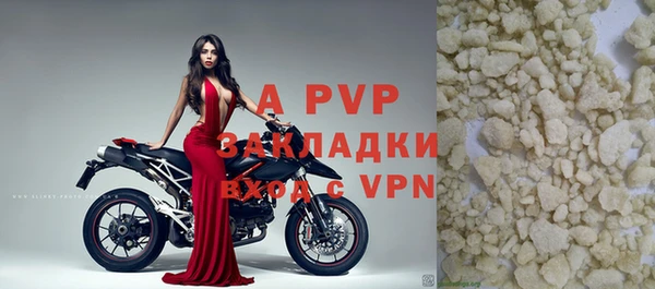хмурый Бородино