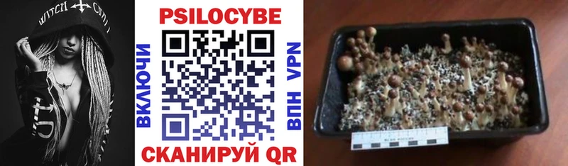 Псилоцибиновые грибы мицелий  Владимир 